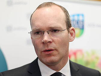 Ireland to donate 60 million E...